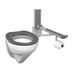 Solution with PLUS support arm, toilet paper holder, toilet and toilet seat Dania